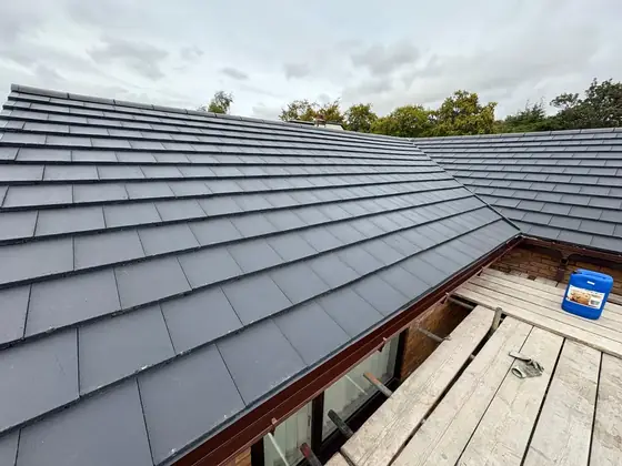 The completed roof seen from the scaffold